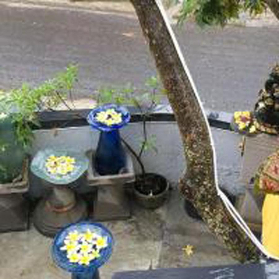 Bulan Bali Guest House Убуд Екстериор снимка